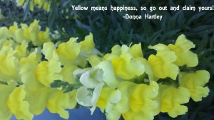Yellow Happiness